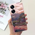 case-c30