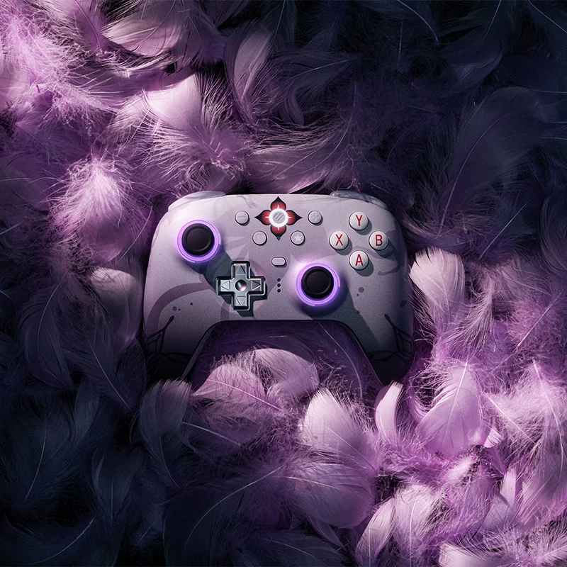 Controlador de juegos inalámbrico 8BitDo Ultimate 2 para PC y Android durante la noche (con licencia oficial de Honkai: Star Rail) - imagen 5