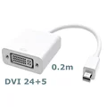 Mini DP M DVI F