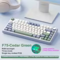 Cedar Green