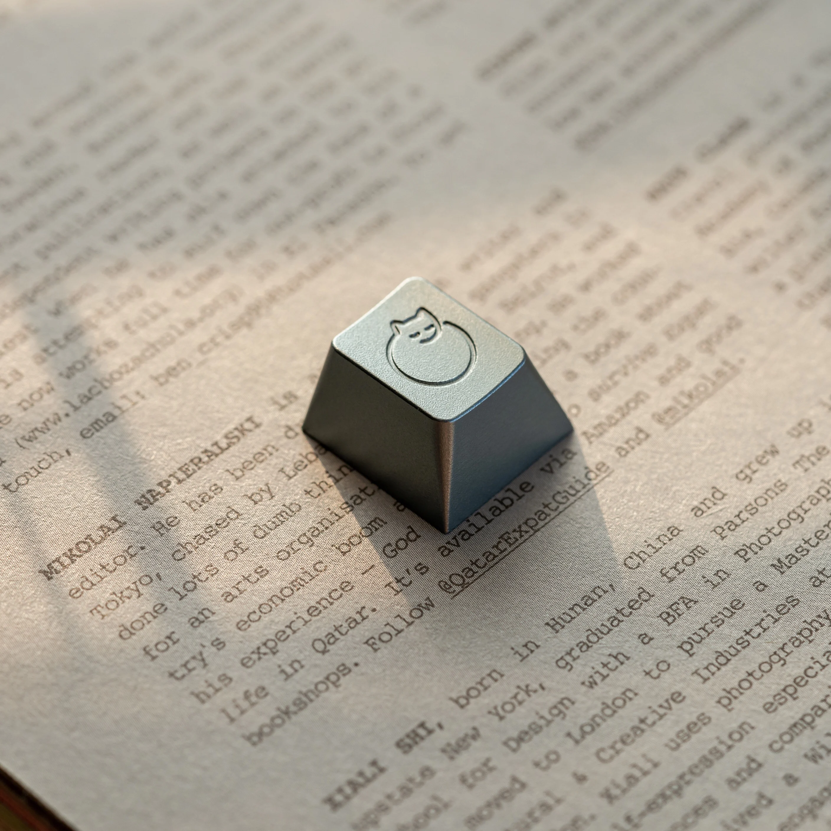 Teclado mecánico con eje cruzado, tapa de tecla de Metal, perfil de cereza, lindo gato dormido, personalizado, Simple R4 ESC, 1 pieza - imagen 2