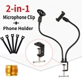 Phone and Mic Holder