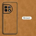 Brown-02