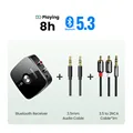 with 3.5mm RCA Cable
