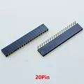 20Pin
