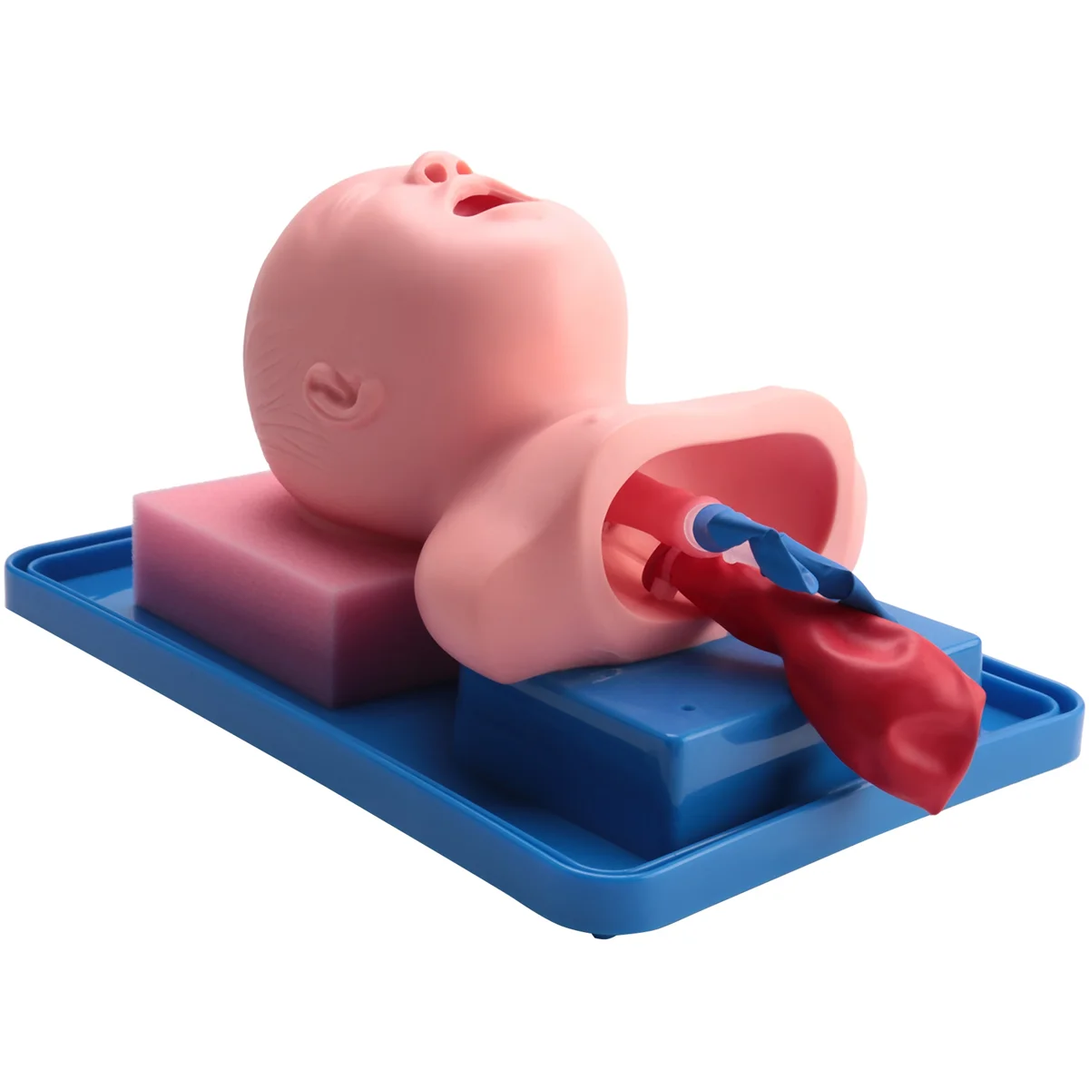 Modelo de intubación traqueal Neonatal, expansión analógica de doble pulmón y estómago, modelo de entrenamiento de intubación traqueal infantil - imagen 2