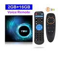 2G 16G Voice Remote