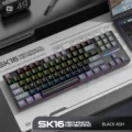 SK16 Black and gray