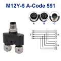 5P Y (1M-2F)