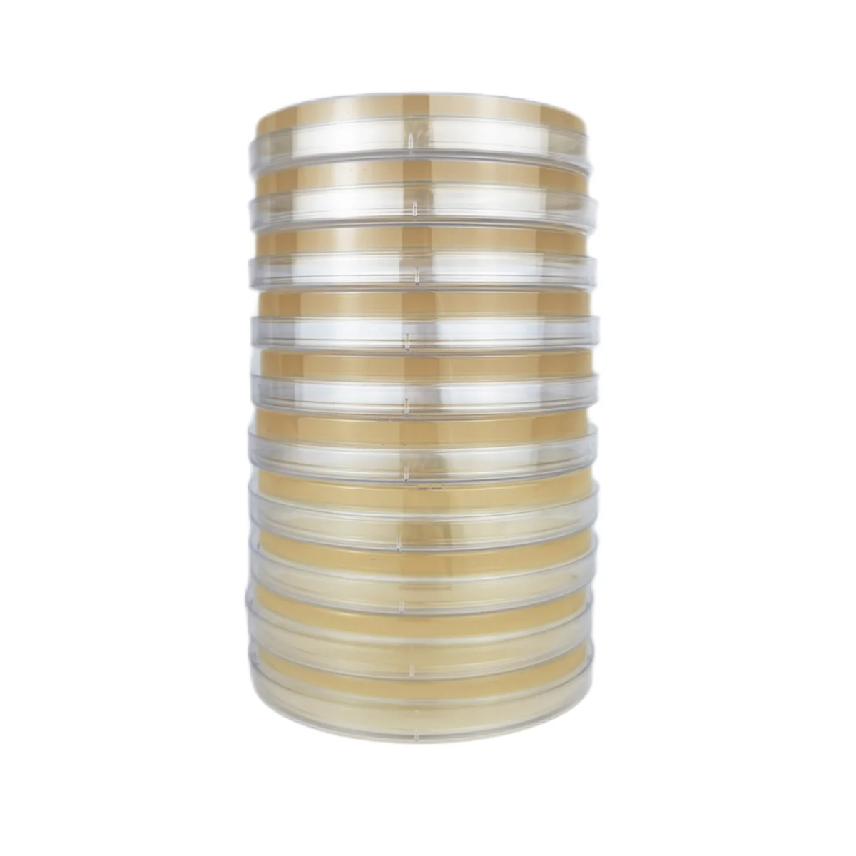 Placa de Petri de ágar Dextrose de patata, placa de Petri bacteriana para setas, kit de prueba casera o proyecto de juerga científica, 10 Uds.