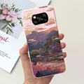 case-c30