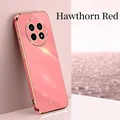 Hawthorn Red