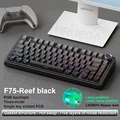 Reef Black