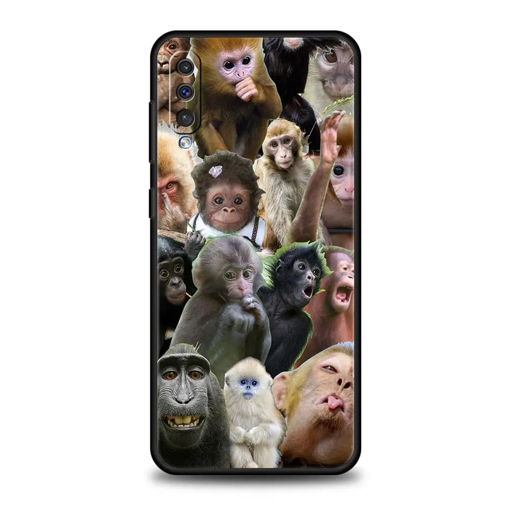 Funda de teléfono con mono divertido y bonito para Samsung A56 A36 A26 A54 A52 A24 A14 A50 A72 A70 A06 A12 A22 A34 A42 A32 A04s A16 5G - imagen 4