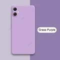 Grass Purple