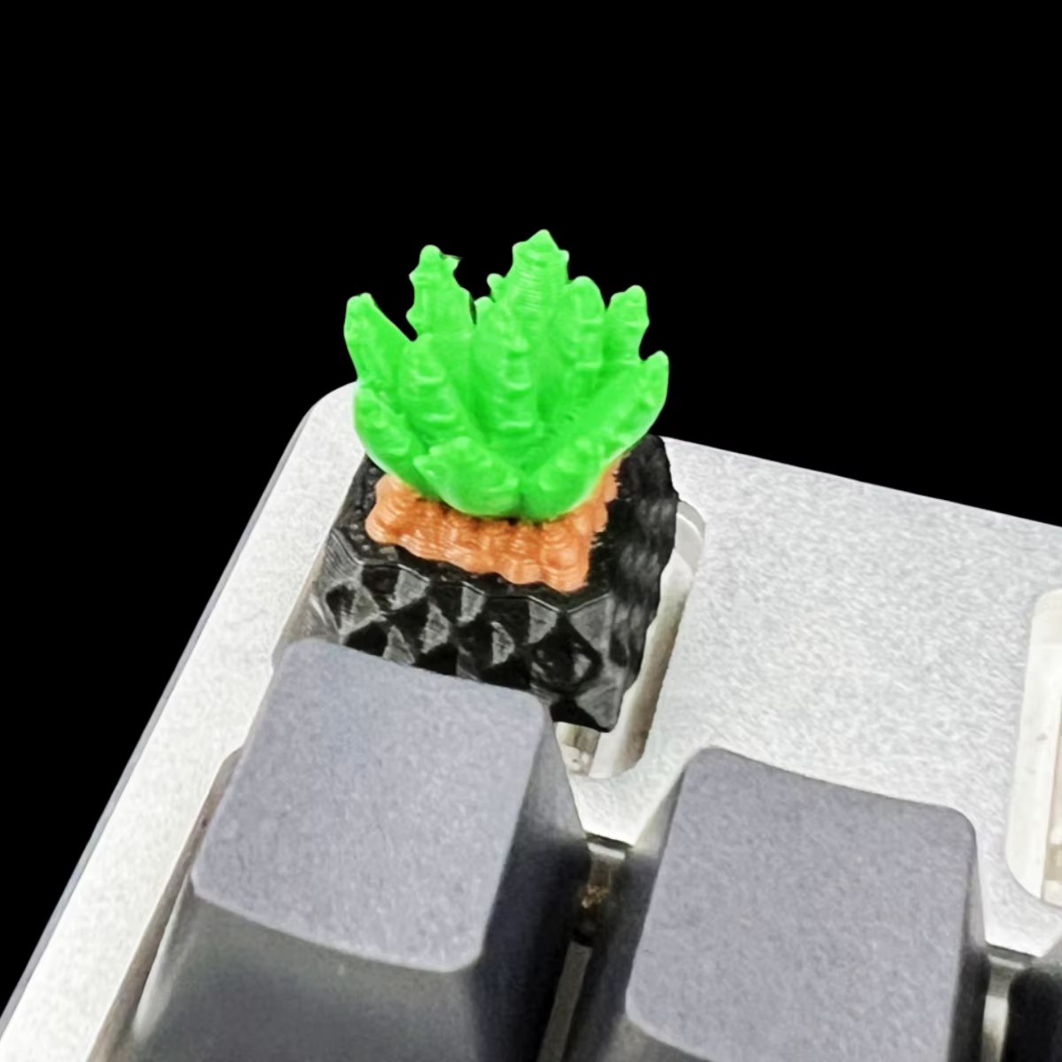 Tapa de tecla de Cactus de resina de personalidad Original, tapa de tecla suculenta tridimensional para teclado mecánico, Linda decoración de llave ESC - imagen 2