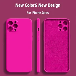 Funda Original Silicona Líquida iPhone 16/15/14/13/12/11 Pro Max