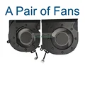 A Pair of Fans