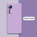 Grass Purple