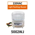 5002WJ 220VAC