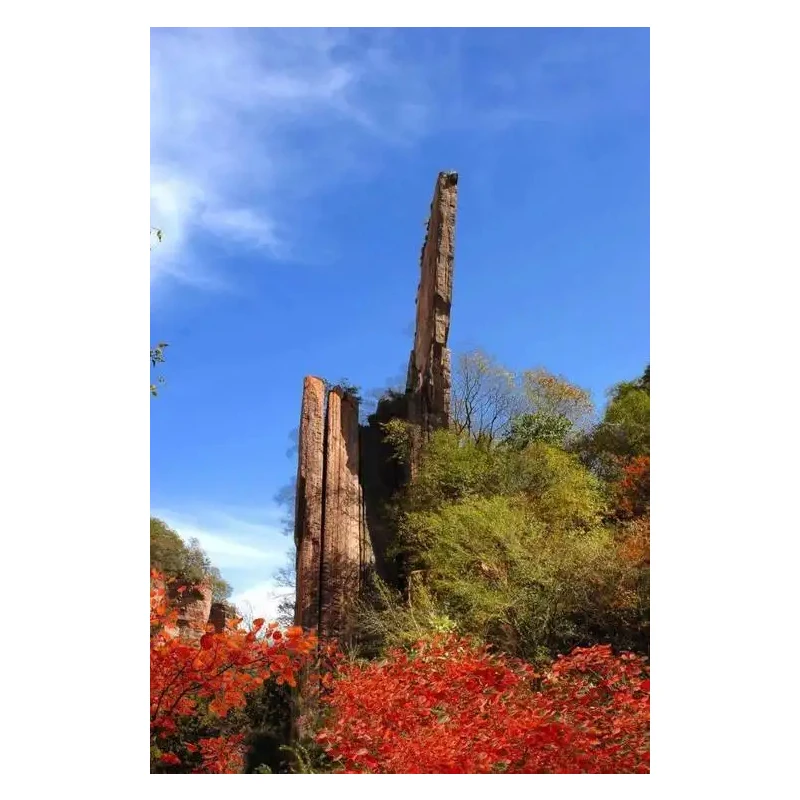 Escáner de código de barras 2D Mini USB con cable Bluetooth 2,4G inalámbrico 1D escáner 2D QR PDF417 EAN13 lector de código de barras de matriz de datos