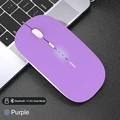 2.4G BT Purple