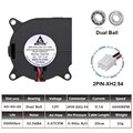 12V Dual Ball