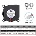 24V Dual Ball
