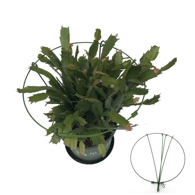 Soporte de Metal redondo ajustable para plantas y flores de jardín, soporte circular para anillo de estaca, herramientas de jardinería de hierro para escalar para bonsái Veg q