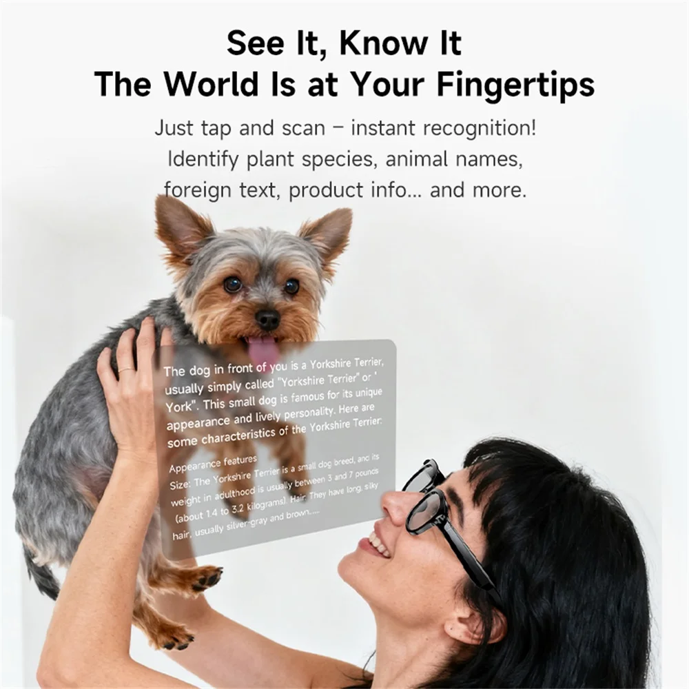 Gafas inteligentes AI, traducción en tiempo Real, llamadas Bluetooth, gafas de sol, cámara Dual, Audio, vídeo, reproductor de música, multifuncional para hombres - imagen 3