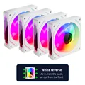 Reverse white 4Fans