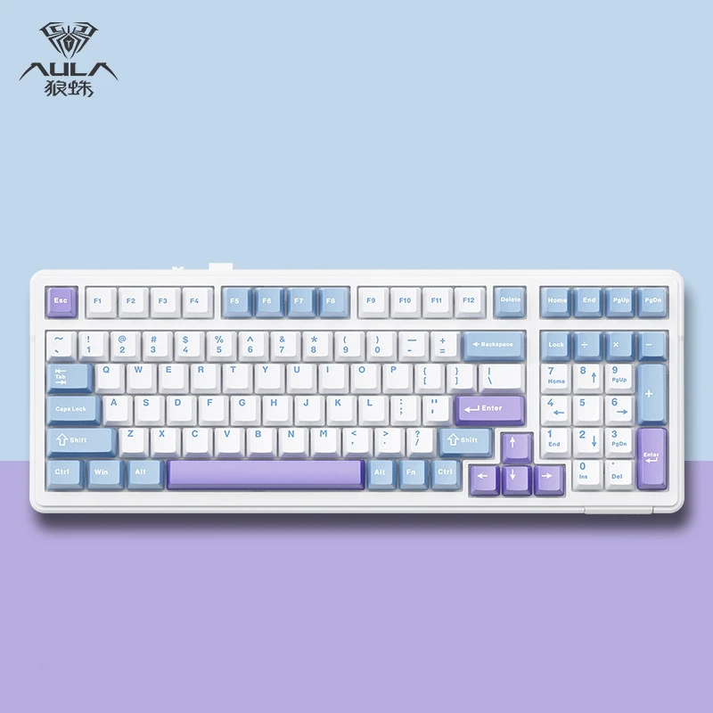 PC plate purple