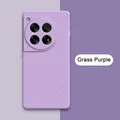 Grass Purple