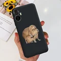 case-c62