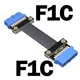 F1C-F1C