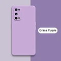 Grass Purple