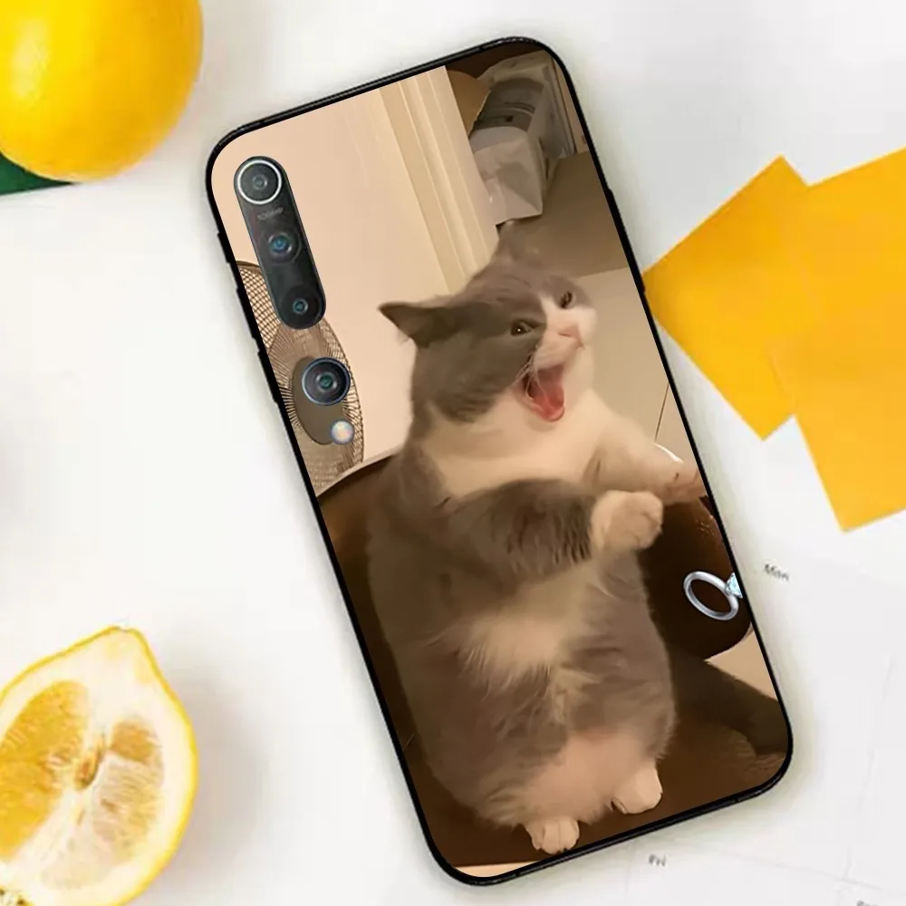 Funda de teléfono MEME con bonito gato para Xiaomi Mi 5X 8 9 10 11 12 Lite Pro 10T PocoX3pro PocoM3 Note 10 Pro Lite - imagen 5