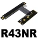 R43NR