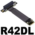 R42DL