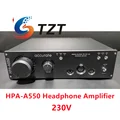 Only Amplifier 230V