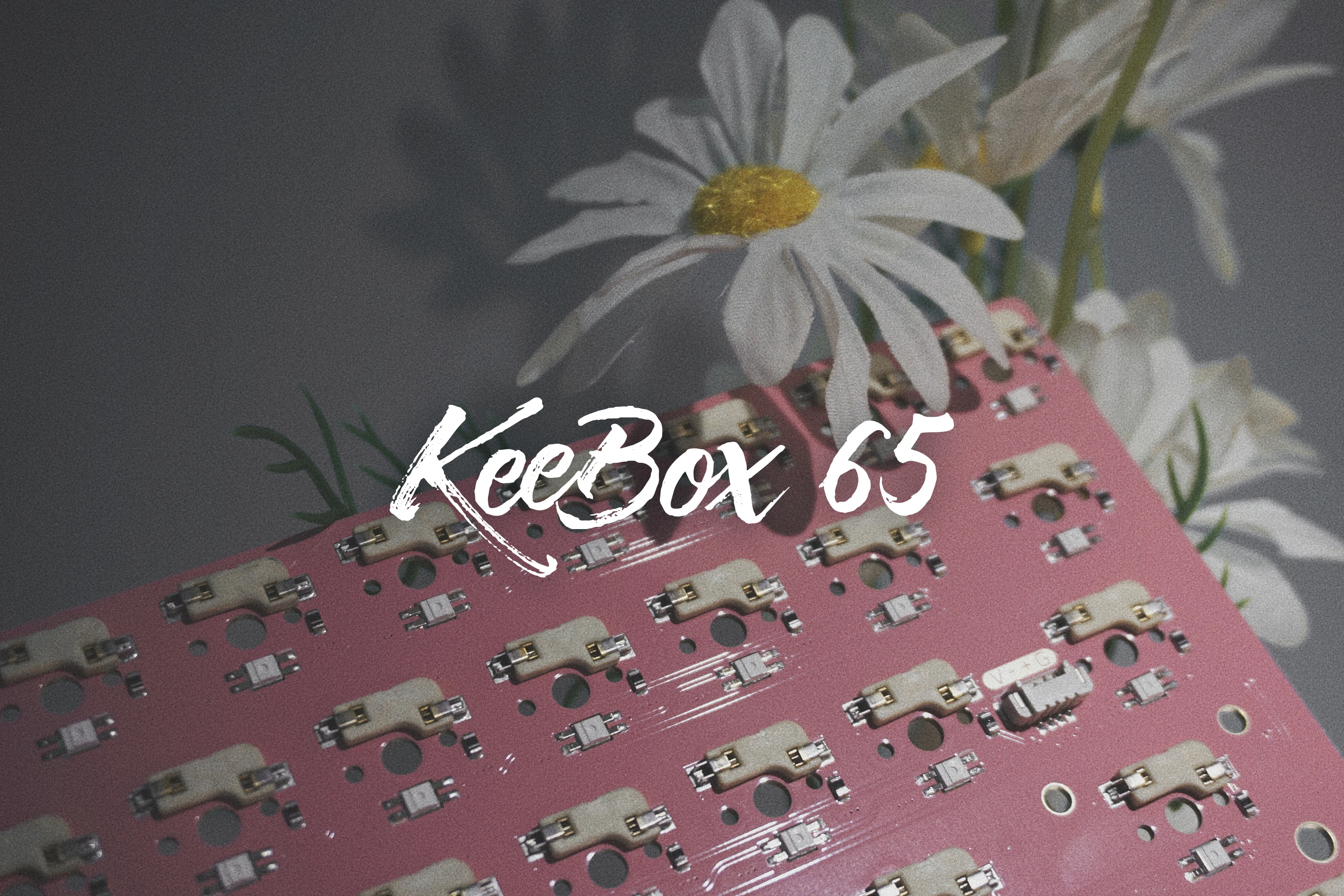 Keebox-teclado personalizado 65%, PCB R2, 65 diseños, RGB, soporte a través de PCB rosa - imagen 4