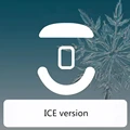 ICE version