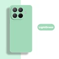 LightGreen