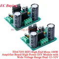 TDA7293 Module 2pcs