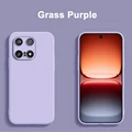 grasspurple
