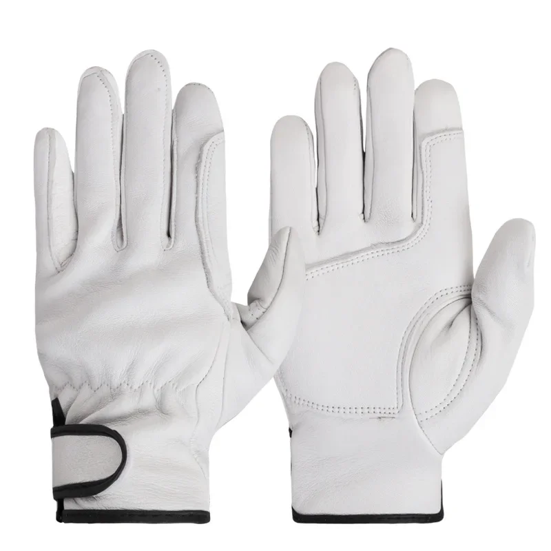 Palm protection WH