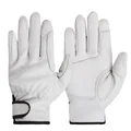 Palm protection WH