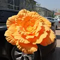 dark orange-50cm