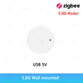 5.8G Zigbee Wall