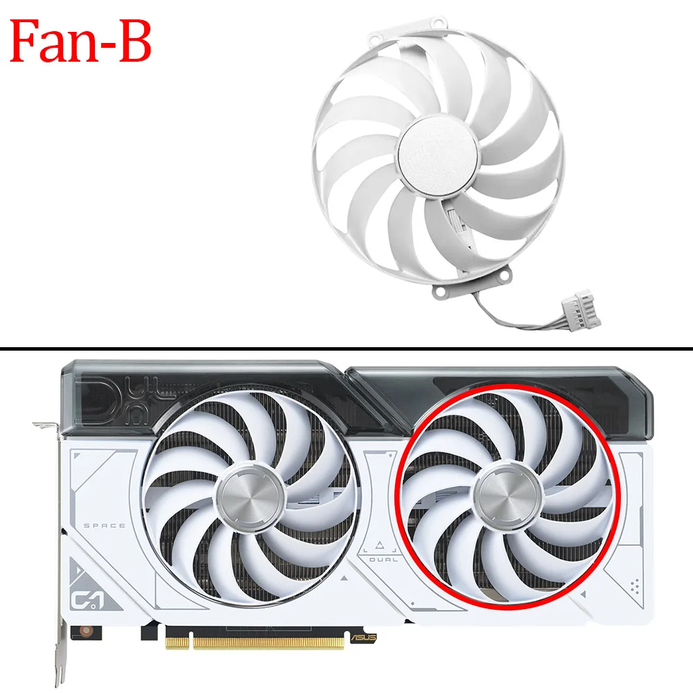 Fan - B